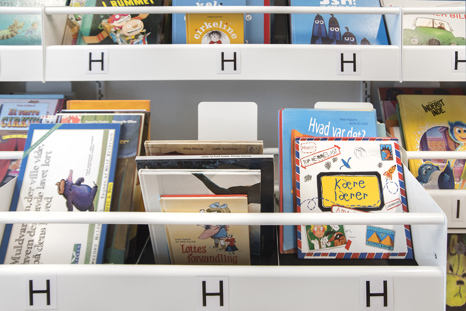 Close up eksempel på udtrækskrybbe (billede taget fra et andet bibliotek)