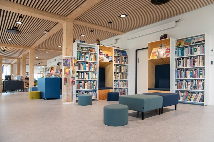 Skole biblioteker