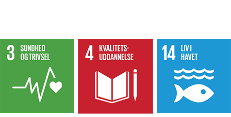 Under produktudviklingen er der arbejdet med 3 af FNs verdensmål: 3, 4 & 14
