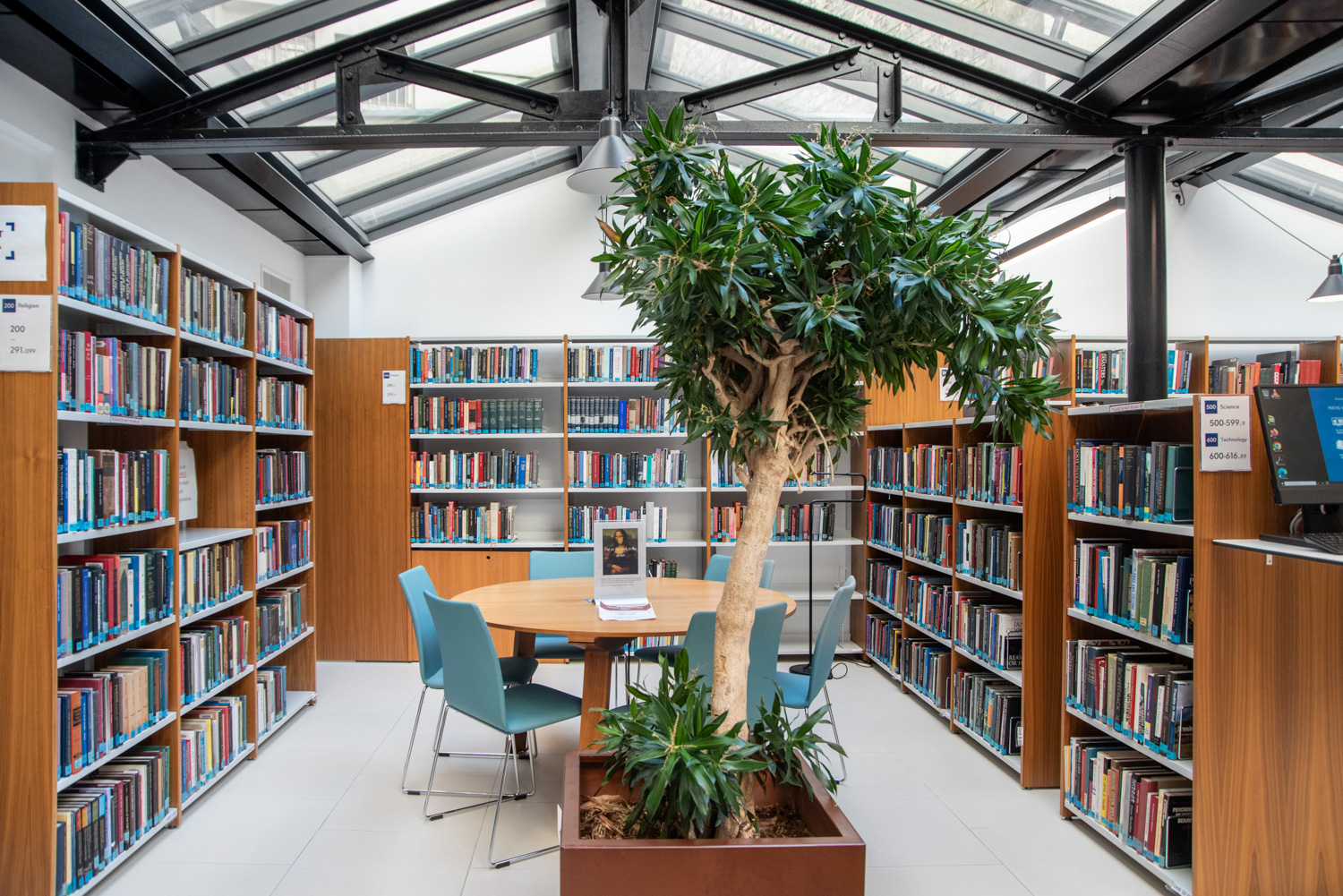 American University of Paris, Frankrig